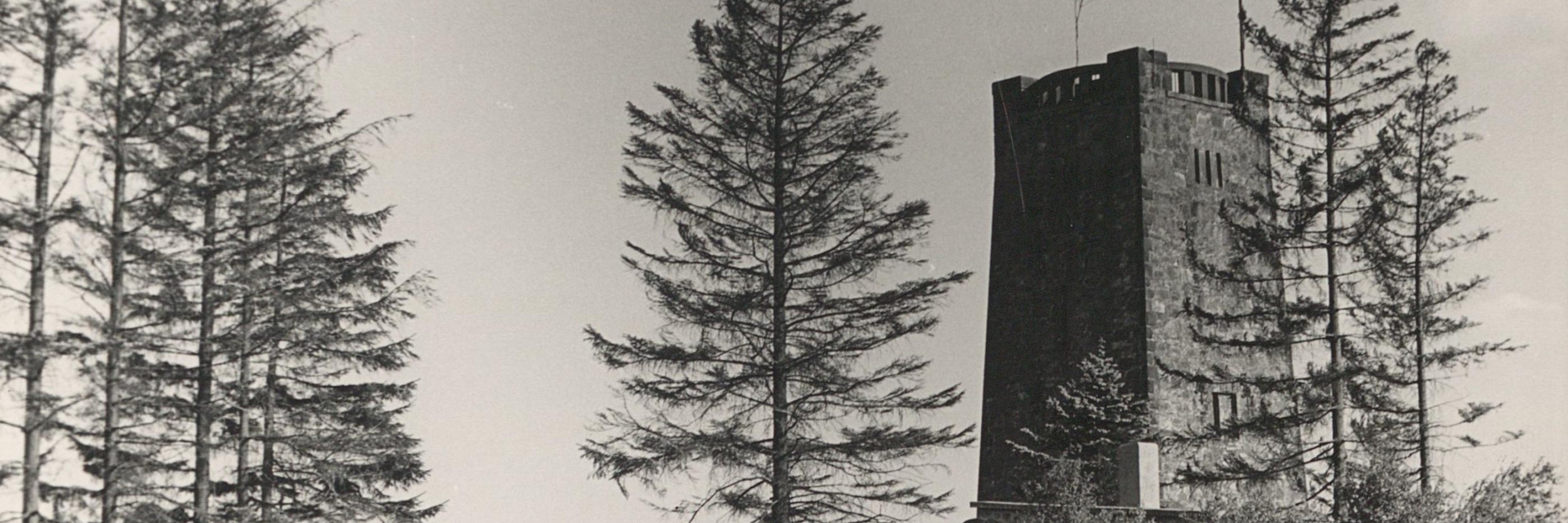 Bismarckturm mit Kühen 1958