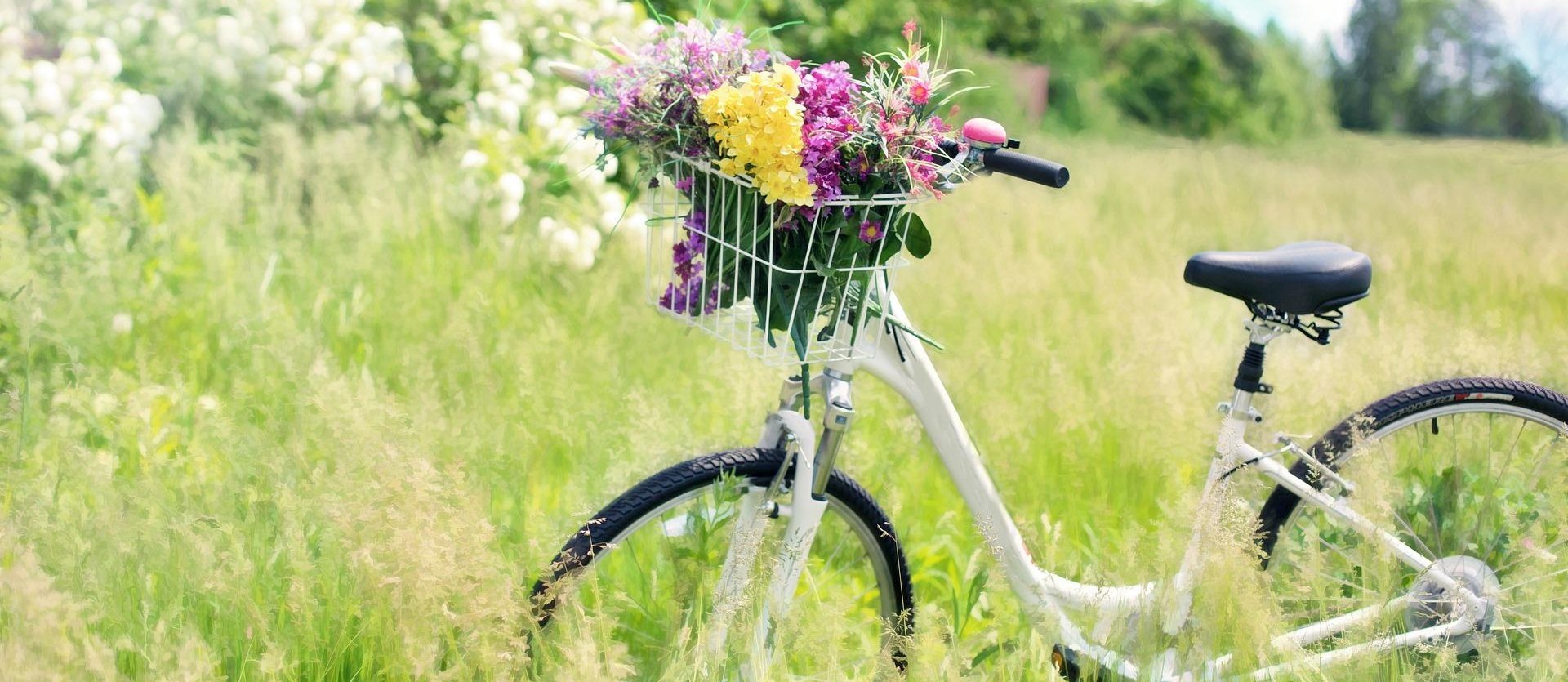 Fahrrad mit Blumen, © Jill Wellington/Pixabay