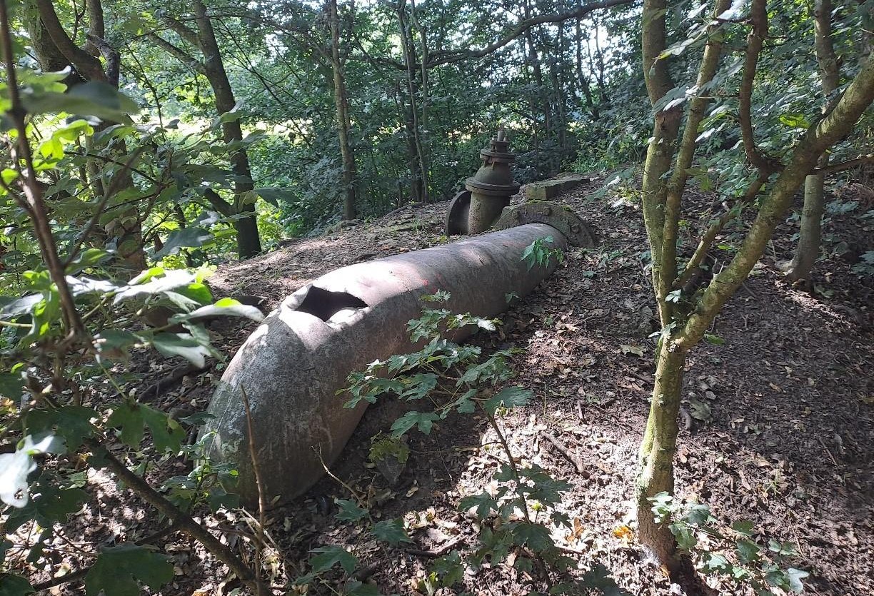 Hoffmanns Rieselwiesen Bad Salzuflen, © Kreis Lippe Hoffmanns Rieselwiesen Bad Salzuflen, © Kreis Lippe