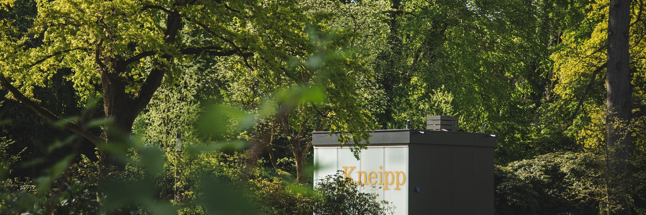 Kneipp-Tretbecken im Kurpark, © Stadt Bad Salzuflen/N. Jacke