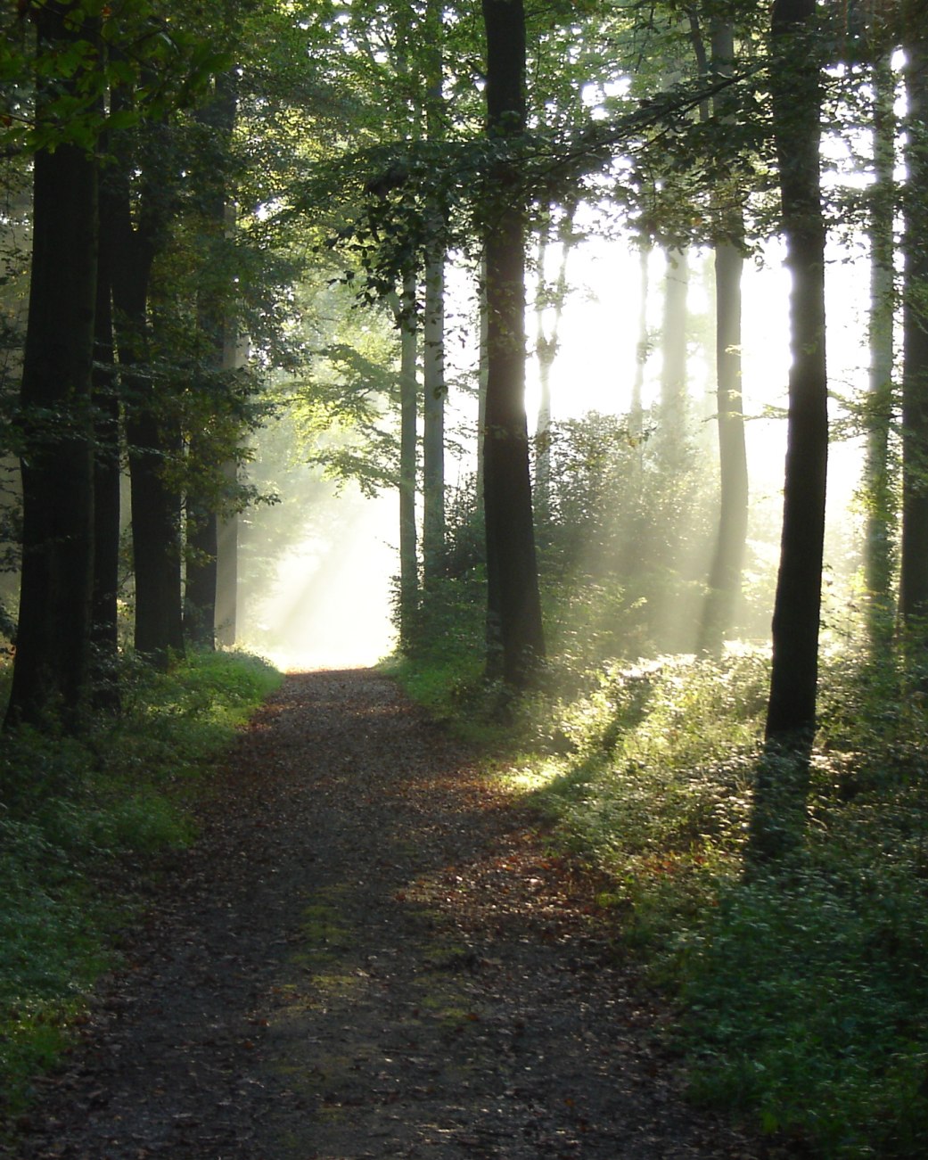 Staatsbad Salzuflen_Wandern_Asenberg_2_O.Siekmann, © (c) Staatsbad Salzuflen_O.Siekmann