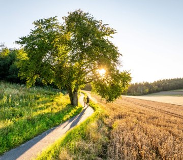 Landschaftsaufnahme &uuml;ber Feld, Wald und Wiesen von Bad Salzuflen im Ortsteil W&uuml;sten. Mittig im Bild f&uuml;hrt ein Weg entlang, auf dem 2 Wanderer gehen. Die Sonne geht langsam unter.