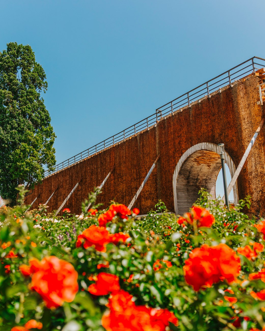 Blumen vor dem Gradierwerk am Rosengarten., © Stadt Bad Salzufen_M_Adamski Blumen vor dem Gradierwerk am Rosengarten., © Stadt Bad Salzufen_M_Adamski