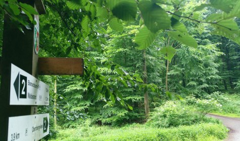 Wanderweg 2 führt durch grünen Mischwald, © Stadt Bad Salzuflen/K. Paar