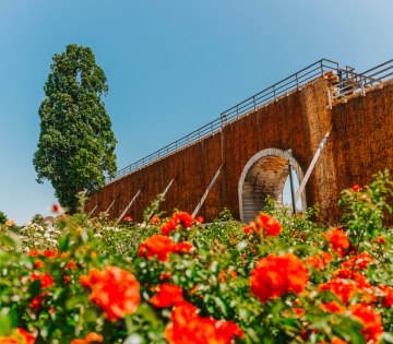 Blumen vor dem Gradierwerk am Rosengarten., &copy; Stadt Bad Salzufen_M_Adamski