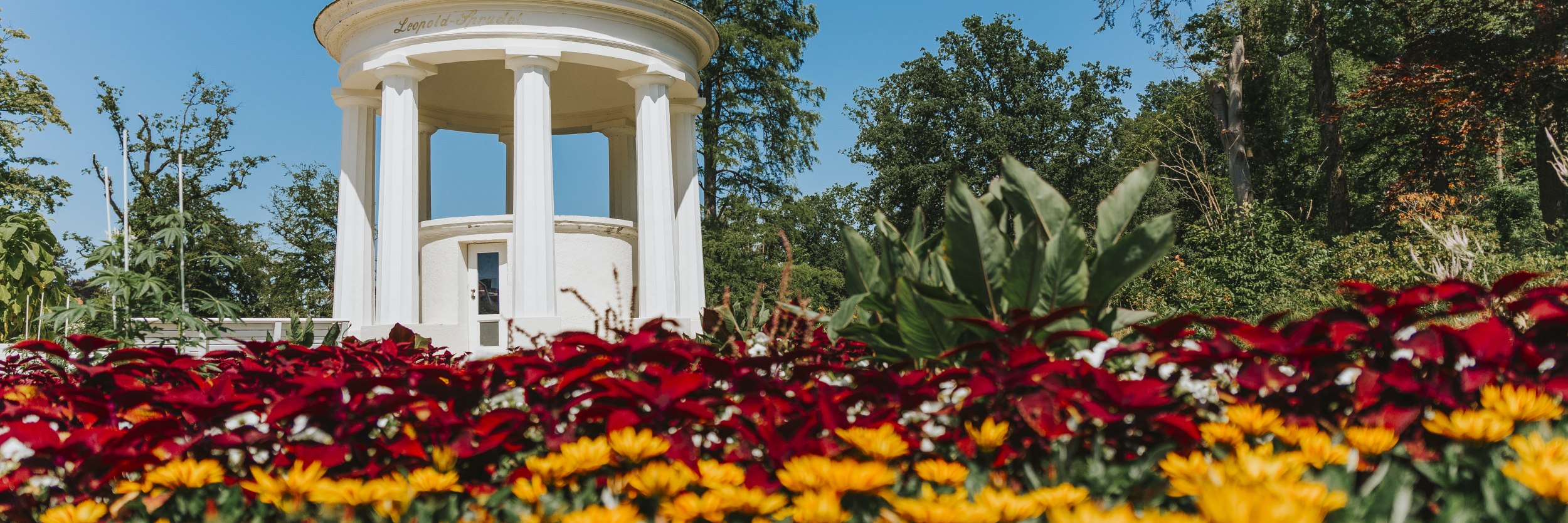 Leopoldsprudel_Kurpark_aq0a3715, © Stadt Bad Salzuflen/M. Adamski Leopoldsprudel_Kurpark_aq0a3715, © Stadt Bad Salzuflen/M. Adamski