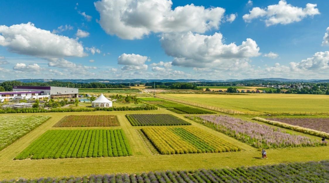 TAOASIS Durftgarten, &copy; Teutoburger-Wald-Tourismus//D-Ketz