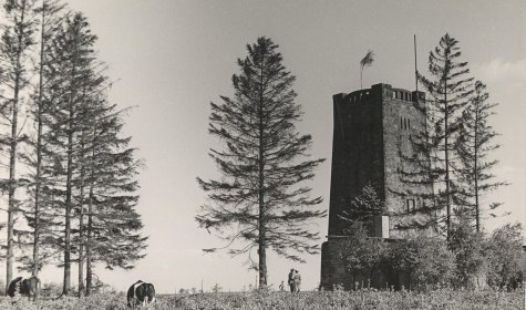 Bismarckturm mit Kühen 1958