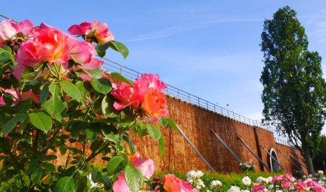 Rosengarten am Gradierwerk, © Stadt Bad Salzuflen/K. Paar