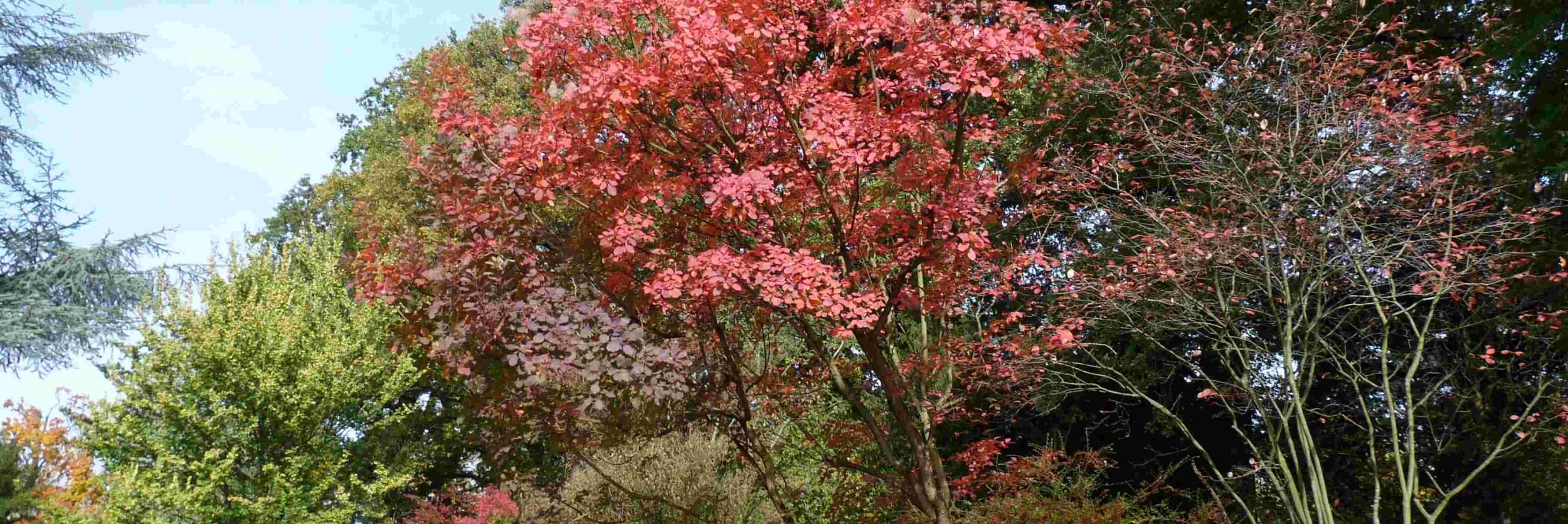 Schlosspark Schlosspark