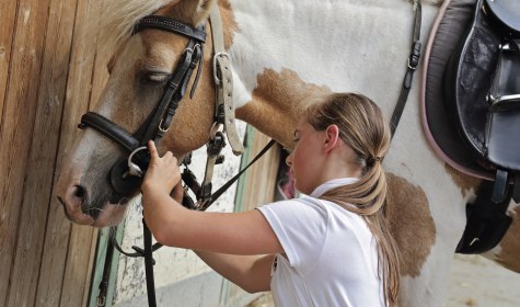 Mädchen zäumt Pferd auf