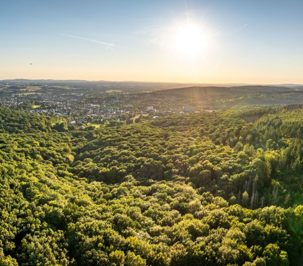 Stadt-Bad-Salzuflen-Hühnerwiem-Teutoburger-Wald-D-Ketz-001, © Stadt Bad Salzuflen / D. Ketz Stadt-Bad-Salzuflen-Hühnerwiem-Teutoburger-Wald-D-Ketz-001, © Stadt Bad Salzuflen / D. Ketz