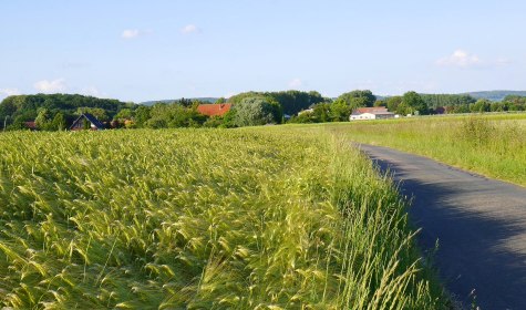 Getreidefeld nahe Werl-Aspe, © Stadt Bad Salzuflen/K. Paar