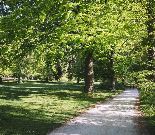 Landschaftsgarten