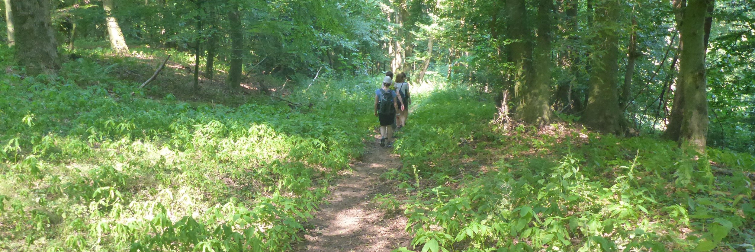 06 After Work P1110278 06 After Work P1110278