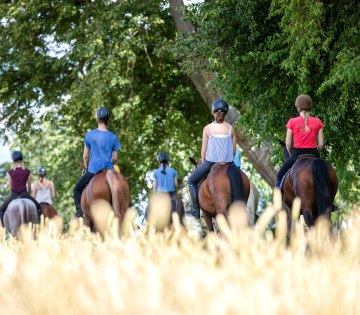 Gruppe Reiter zu Pferd am Feldrand