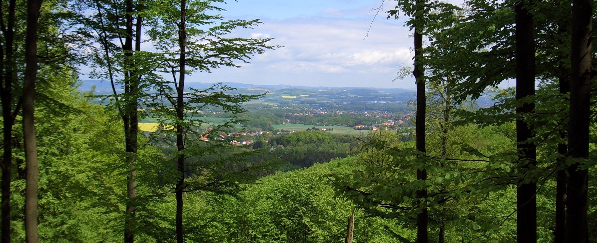 Aussicht vom Kamm des Teutoburger Waldes