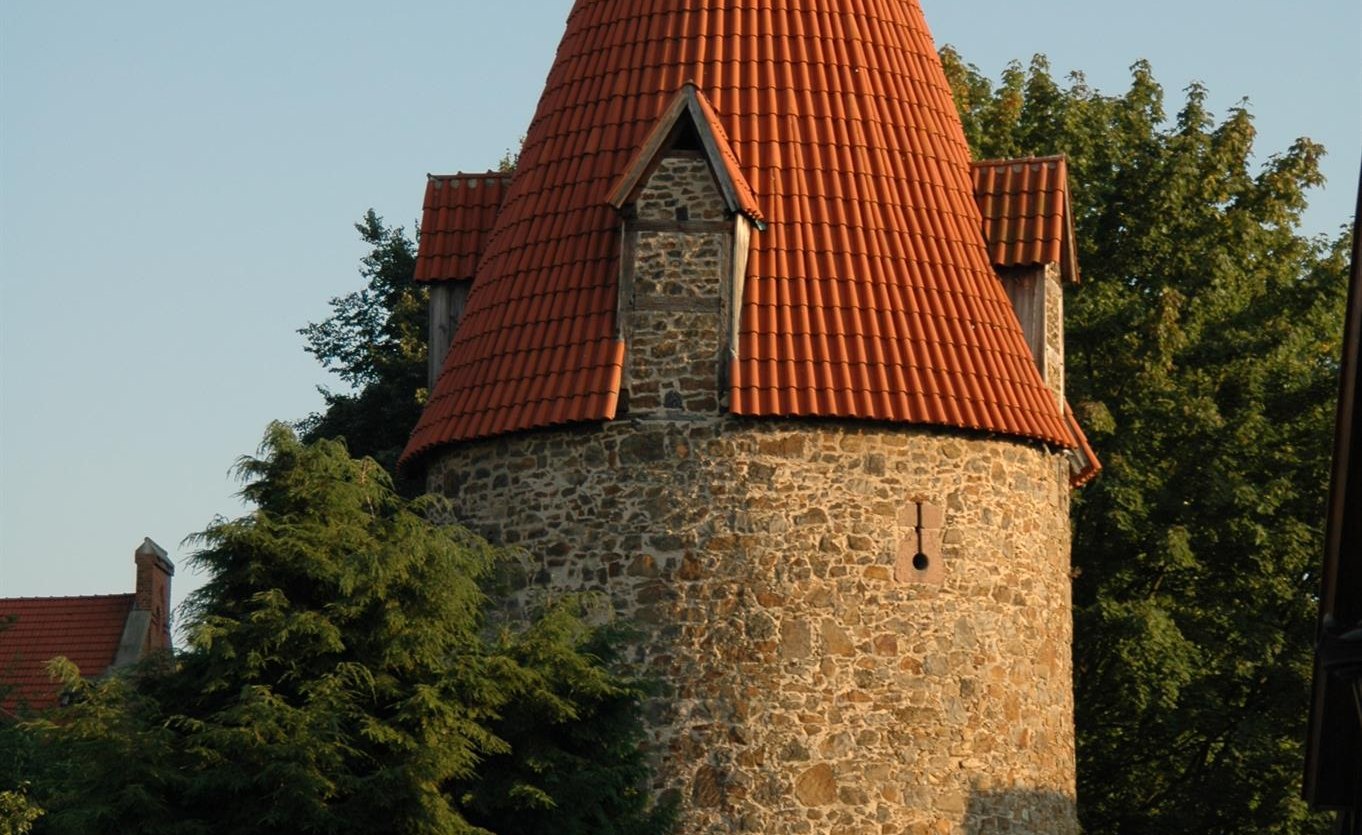 Katzentrum im Abendlicht