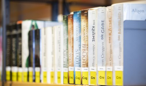 Detail Buchr&uuml;cken, &copy; Jan Voth