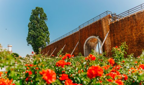 Blumen vor dem Gradierwerk am Rosengarten., © Stadt Bad Salzufen_M_Adamski