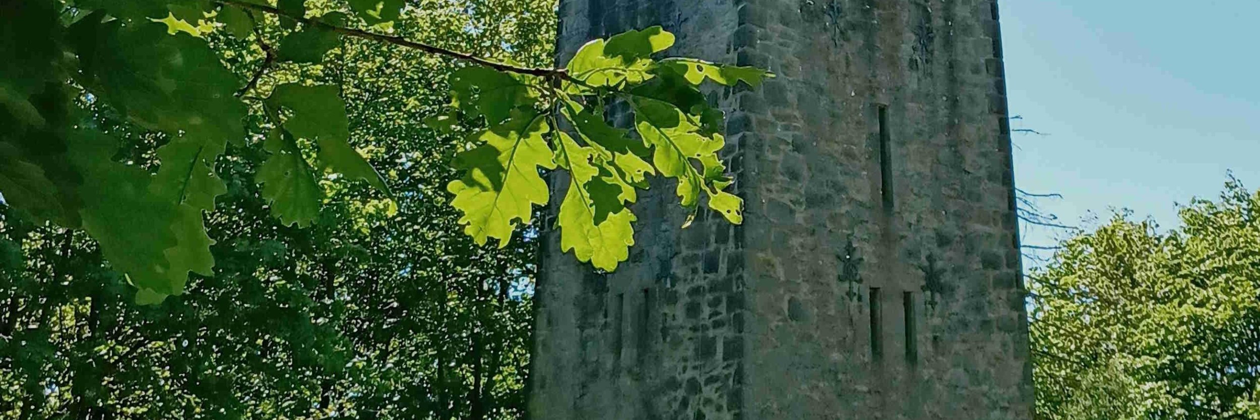 Ilse 240508.06 W. Bismarckturm - Hollenstein