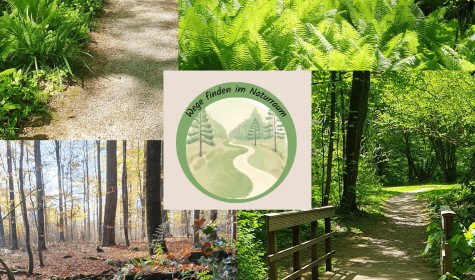 Mit allen Sinnen, &copy; Maike Schnabel