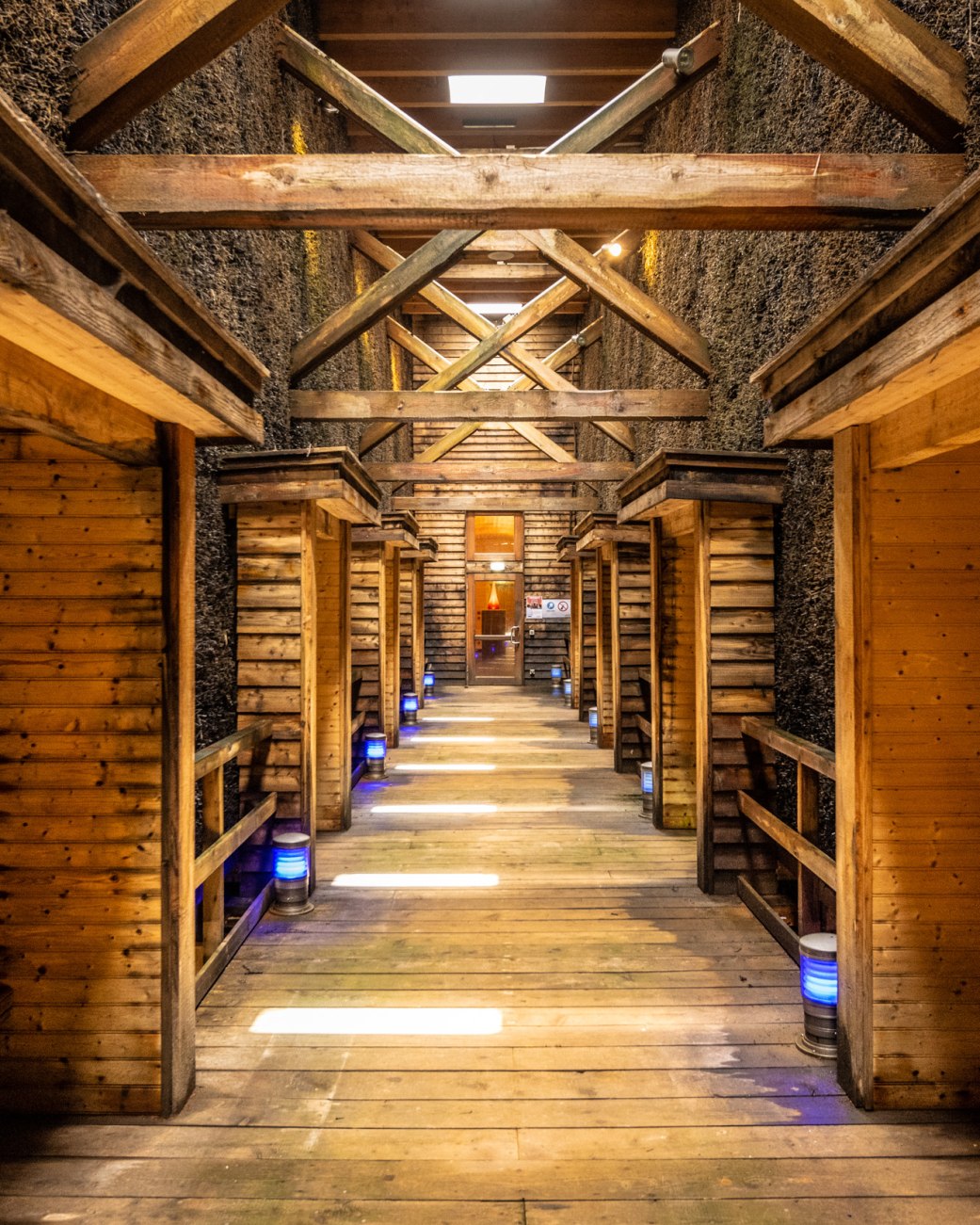 direkt am Schwarzdorn entlang führt der Steg in die Sole-Nebelkammer, © Teutoburger Wald Tourismus/Dominik Ketz