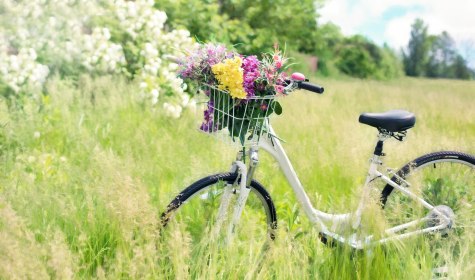 Fahrrad mit Blumen, © Jill Wellington/Pixabay