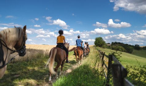 Gruppen Ausritt, © Adobe Stock - USeePhoto