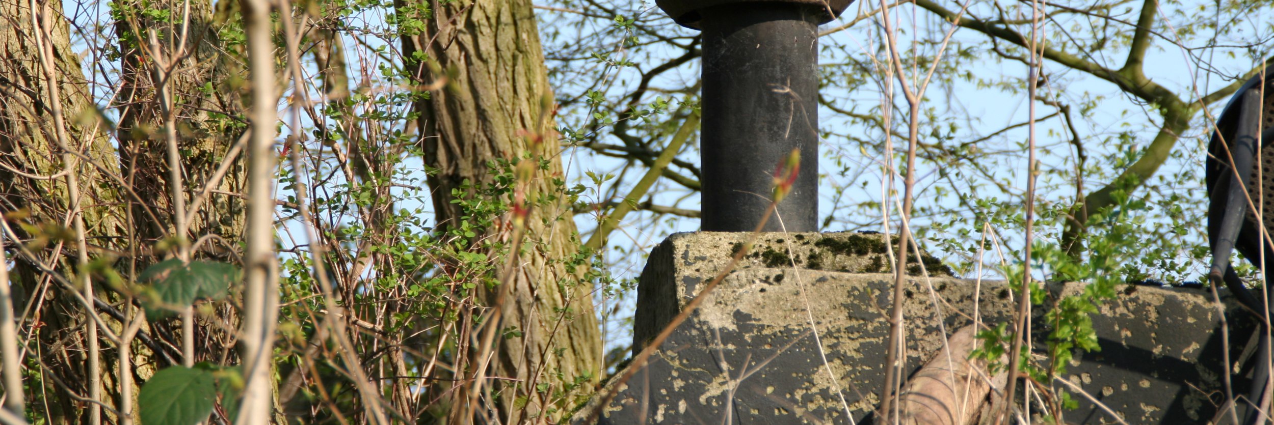 staatsbad-salzuflen_neu-brunnen-aktuell, &copy; S. MIrbach