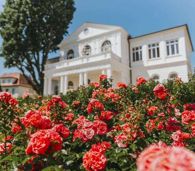 Rosengarten zwischen Leopold-Bad und Gradierwerk, © Stadt Bad Salzuflen/M. Adamski