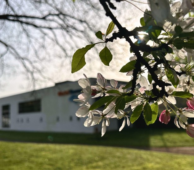 Frühling an VitaSol Therme Bad Salzuflen