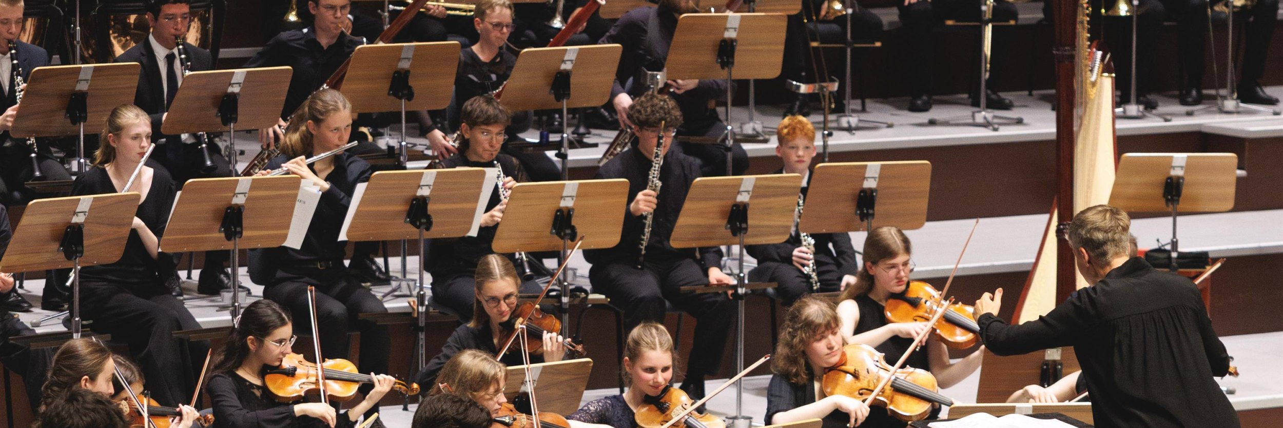 JUNGE SINFONIKER OWL, © Marc Wellmann JUNGE SINFONIKER OWL, © Marc Wellmann