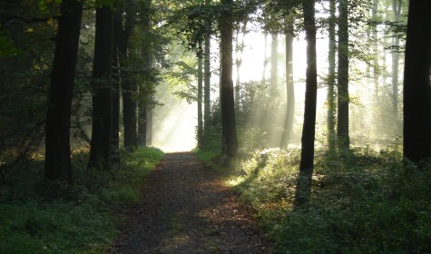 Staatsbad Salzuflen_Wandern_Asenberg_2_O.Siekmann, © (c) Staatsbad Salzuflen_O.Siekmann