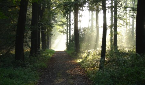 Staatsbad Salzuflen_Wandern_Asenberg_2_O.Siekmann, © (c) Staatsbad Salzuflen_O.Siekmann