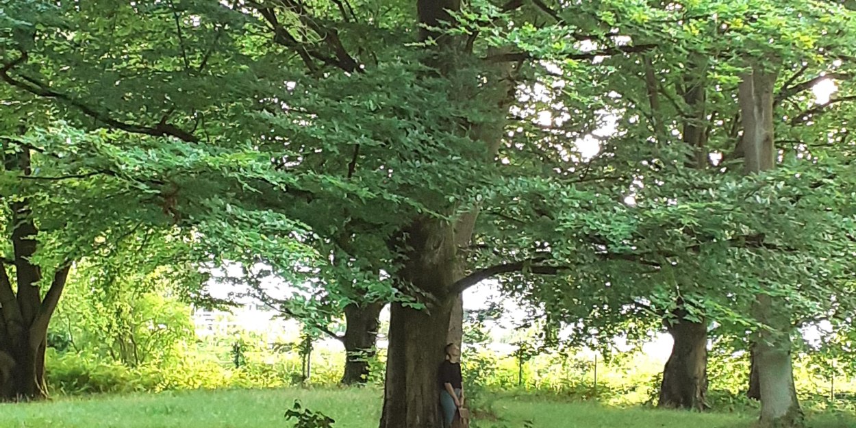Sp zum Glück 2 Sp zum Glück 2