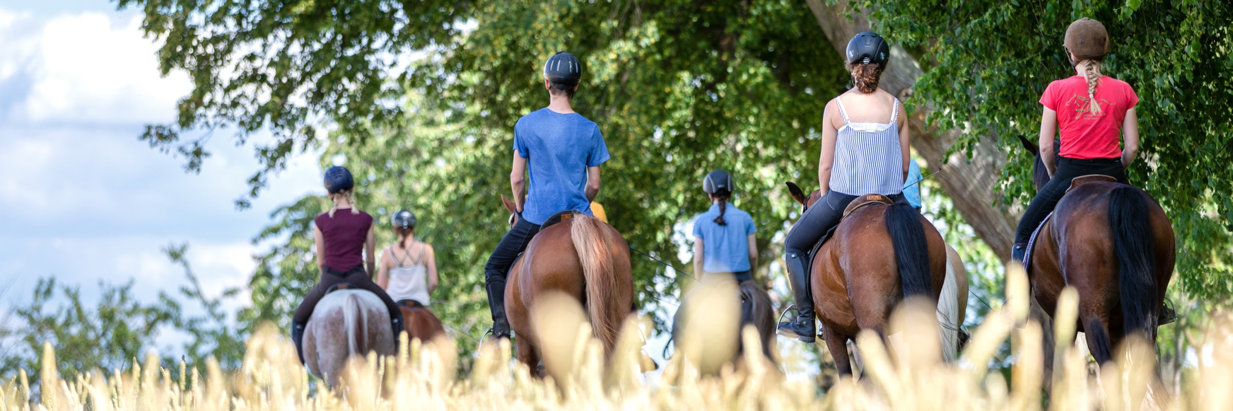 Gruppe Reiter zu Pferd am Feldrand