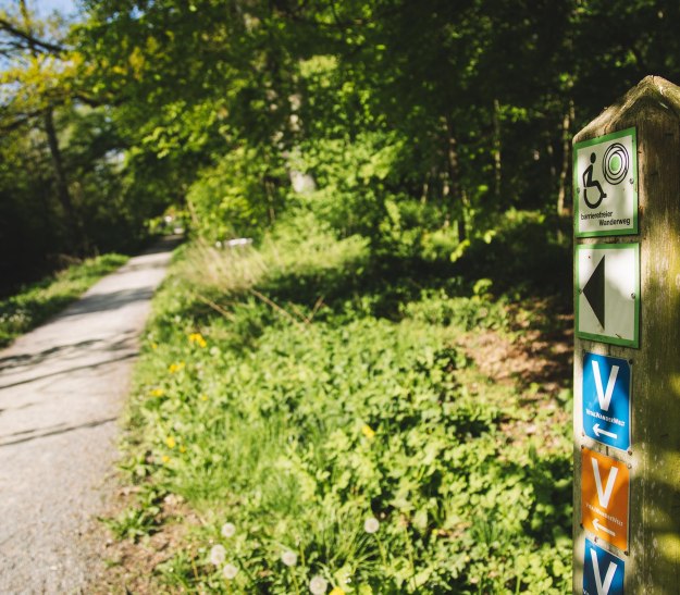 Landschaftsgarten Wanderwege