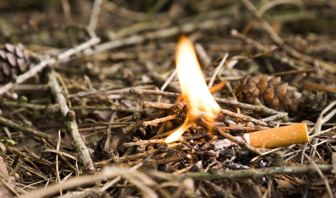 Eine brennende Zigarette liegt auf dem Waldboden und entfacht eine kleine Flamme., © tech_studio - stock.adobe.com