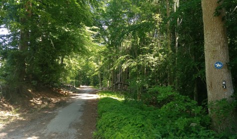 Auf Hansaweg von Bad Salzuflen nach Herford wandern, © Stadt Bad Salzuflen/K. Paar