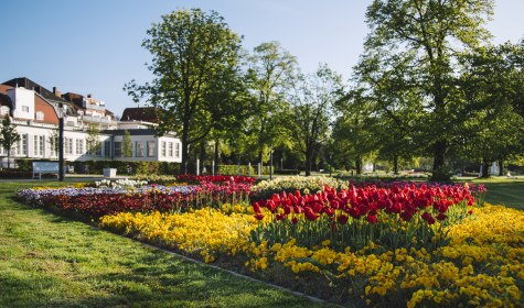 Tulpen am Kurhaus, © Stadt Bad Salzuflen/N. Jacke