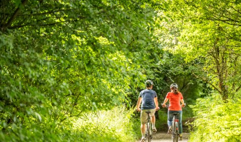 Radtouren in Bad Salzuflen, © Teutoburger Wald Tourismus/D. Ketz